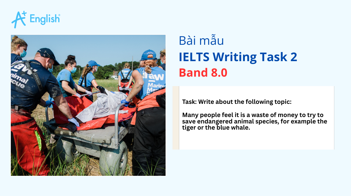 Bài mẫu IELTS Writing Task 2 IELTS TRAINERS 2 TEST 3