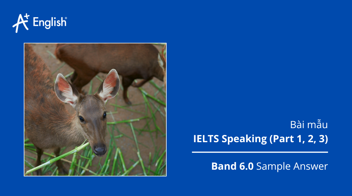 Bài mẫu IELTS Speaking The Official cambridge guide to IELTS TEST 2