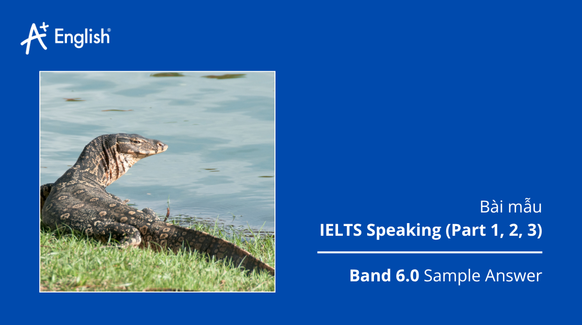 IELTS Speaking MOCK TEST 3
