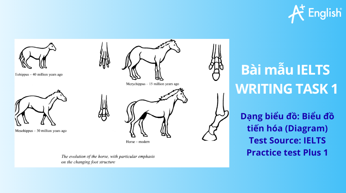 Bài mẫu IELTS Writing Task 1 band 6.0