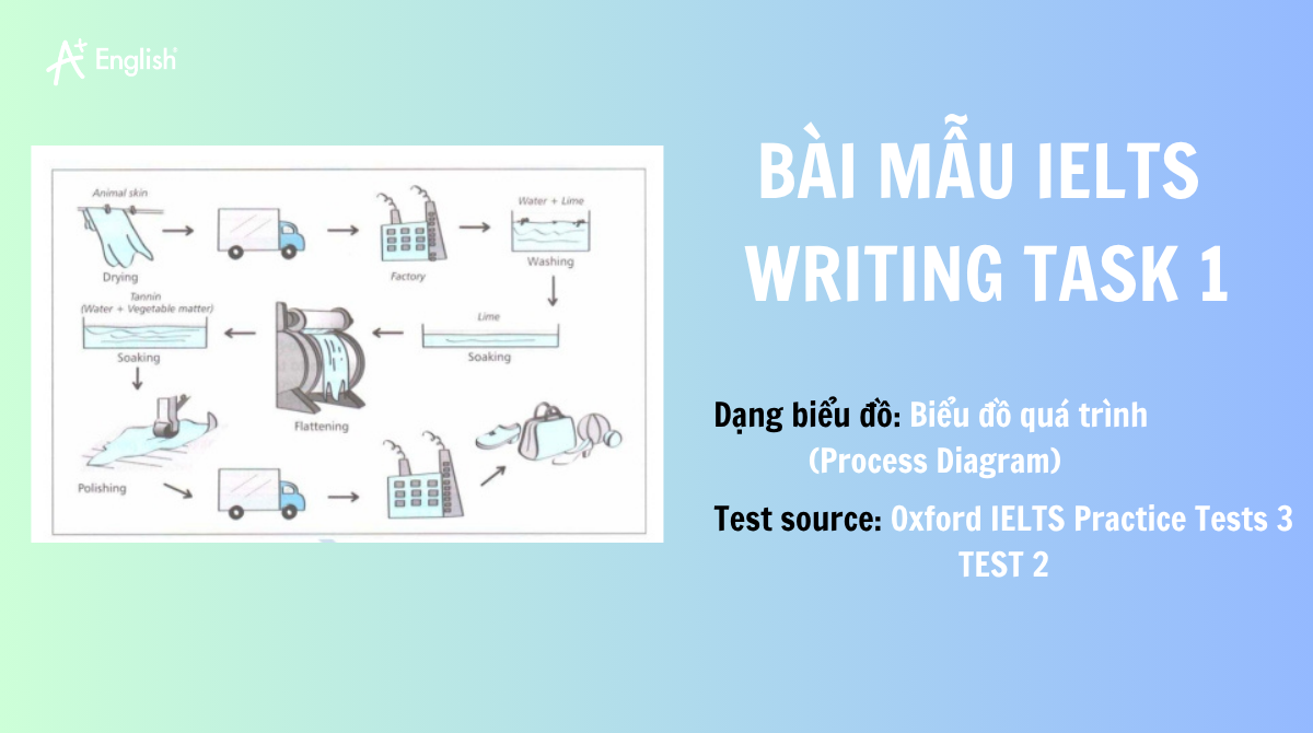 IELTS WRITING TASK 1