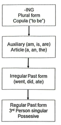 Giả thiết Trình tự tự nhiên (Natural order) Stephen D. Krashen