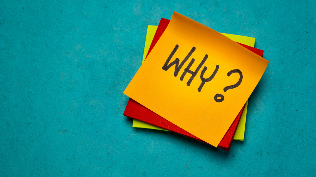 Tại sao mọi người theo học các chứng chỉ TEFL/TESOL?